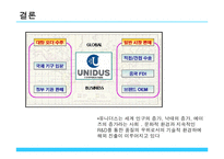 [국제경영] 유니더스 해외진출사례-13