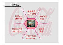 [다국적기업경영론] 코카콜라 사례 분석-6