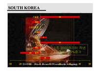 [다국적기업경영론] 코카콜라 사례 분석-8