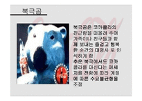 [다국적기업경영론] 코카콜라 사례 분석-19