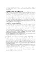 [사회학]인권문제와 NGO의 역할-10