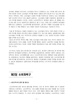 [마케팅] 소비자욕구의 다양화에 따른 새로운 RV 시장개척 -산타페CM을 통한 CUV시장선점을 중심으로-5