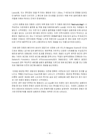 [마케팅] 소비자욕구의 다양화에 따른 새로운 RV 시장개척 -산타페CM을 통한 CUV시장선점을 중심으로-18