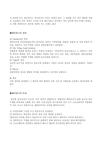 [관광학] 테마파크 에버랜드(EVERLAND) 분석-4