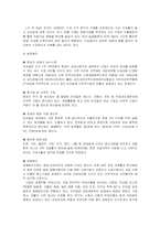 [국제경영] BRICs 진출에 대한 우리 기업의 진출 전략-9
