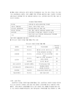 [국제경영] BRICs 진출에 대한 우리 기업의 진출 전략-10