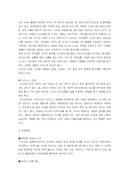 [국제경영] BRICs 진출에 대한 우리 기업의 진출 전략-16