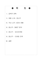 [마케팅원론] 참소주의 마케팅-2