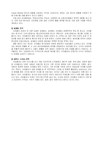 [국제마케팅] 코카콜라의 4P를 통한 현지화와 표준화 분석-9