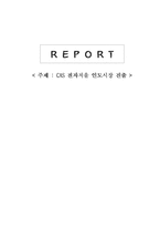 [국제마케팅] CAS 카스 전자저울 인도시장 진출-7