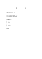 [국제마케팅] 베스킨라빈스의 마케팅전략-2