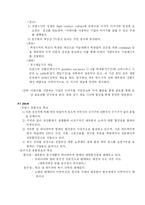 [국제마케팅](주)모닝글로리의 현지화 전략-7