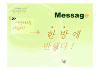 [PR기획론] 퓨어린 한방생리대 `예지미인` 매출증대를 위한 MPR 기획-12