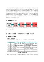 [패션상품유통] 밀리오레와 청평화 시장을 중심으로한 패션쇼핑몰 조사-2