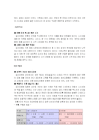 [패션상품유통] 밀리오레와 청평화 시장을 중심으로한 패션쇼핑몰 조사-12