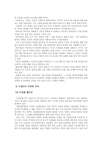 이집트 민주화와 그 전망-10