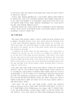 이집트 민주화와 그 전망-12