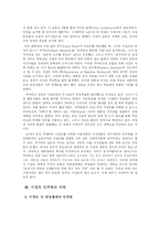 이집트 민주화와 그 전망-13