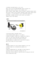스쿠버 다이빙 레포트-9