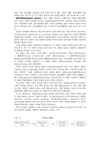 [장애복지]장애인 복지개론-2
