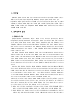 [전자정부]전자정부란 무엇인가.-3