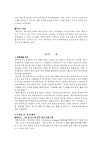 [국제마케팅] 현대자동차의 국제마케팅-11
