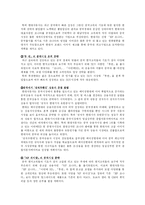 [국제마케팅] 현대자동차의 국제마케팅-12