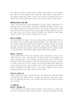 [국제마케팅] 현대자동차의 국제마케팅-14