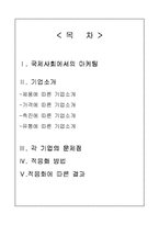 [국제마케팅] 마케팅활동의 차이에 따른 기업사례분석-2