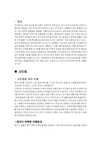 국제마케팅 현지화 사례분석-9
