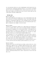 국제마케팅 현지화 사례분석-10