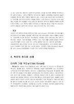국제마케팅 현지화 사례분석-13