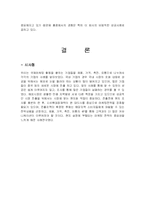 국제마케팅 현지화 사례분석-15