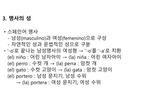 스페인어 정리-7