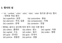 스페인어 정리-12