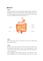 맹장염 문헌고찰-3