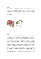 부정맥 문헌고찰-4