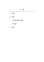 가족복지론_빈곤가족의 실태와 해결방안을 설명하시오-2