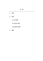 국제경영_글로벌경영의 정치적, 문화적 환경에 대해 논하시오-2