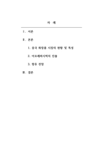 글로벌미용사례_국내 뷰티산업 (헤어피부메이크업네일)이 해외시장에서 성공한 사례-2