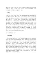 글로벌미용사례_국내 뷰티산업 (헤어피부메이크업네일)이 해외시장에서 성공한 사례-4