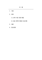 시장조사론_표적시장 마케팅 전략 성공사례-2