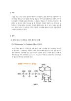 운동생리학_장시간 운동 시 나타나는 3가지 에너지 시스템에 대하여 시간의 흐름에 따라 구분하여 설명하시오-3