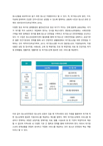 CYS-Net이란 무엇인지 설명하고, 위기청소년을 위한 청소년복지실천을 위해 개선해야할 사항에 대해 개인의견을 제시하시오 -2