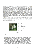 방송통신대_식물분류학_1 식물분류의 중요성에 대하여 기술한다 2 주변에서 볼 수 있는 식물을 2가지 선정하여 잎의 모양(3강 참조)을 판단하고 식물을 동정하여 해당식물이 속하는 과, 종 및 속의 특징을 기술한다 (7)-6