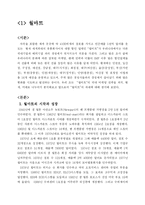 [국제마케팅] 월마트와 애플의 ‘아이팟’ 사례-2