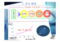 [마케팅조사] 전자사전 에이원프로 상승전략-3