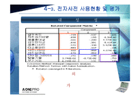 [마케팅조사] 전자사전 에이원프로 상승전략-10