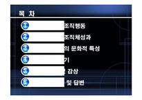 [조직행동론] 조직문화와 성과-2