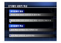 [조직행동론] 조직문화와 성과-4